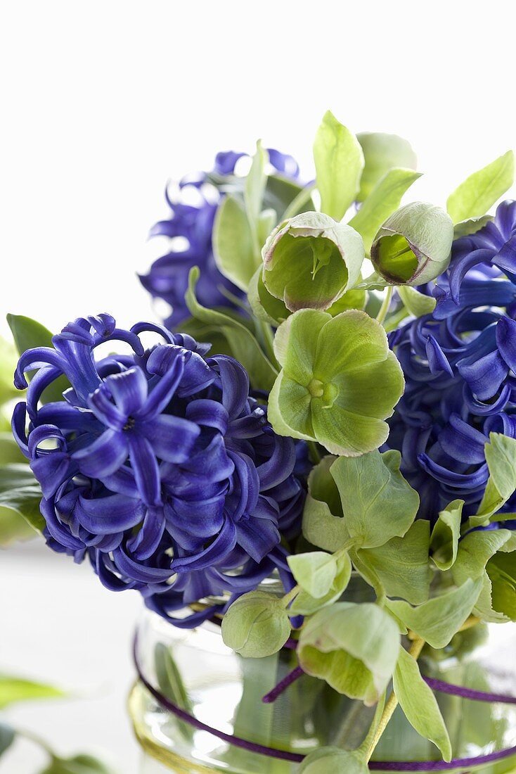 A bunch of hyacinths and hellebores (close-up)