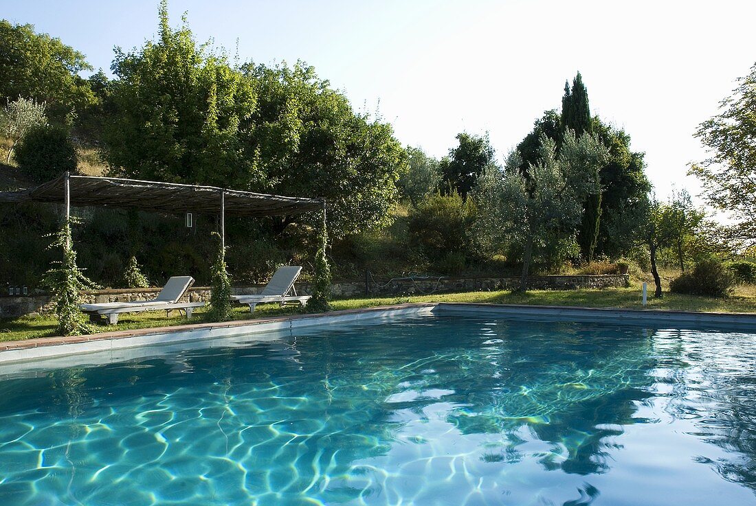 A large swimming pool in a garden