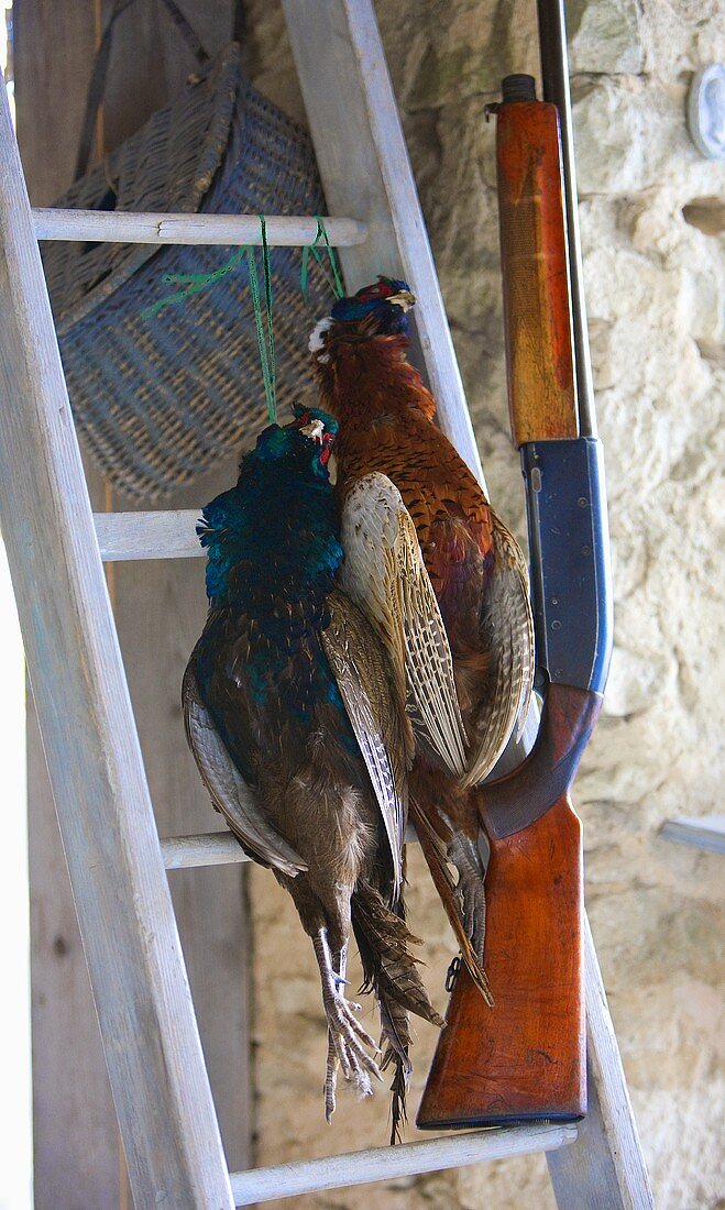 Two dead pheasants next to a weapon