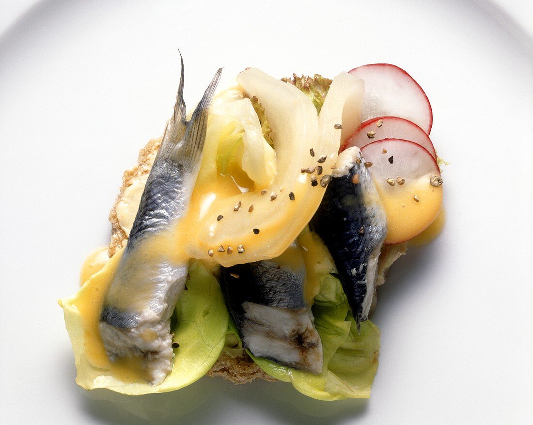 Smorrebrod with Pickled Herring