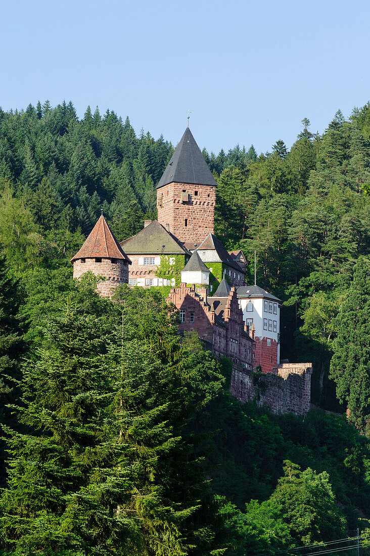 Zwingenberg castle, Neckar, Baden-Wuerttemberg, Germany
