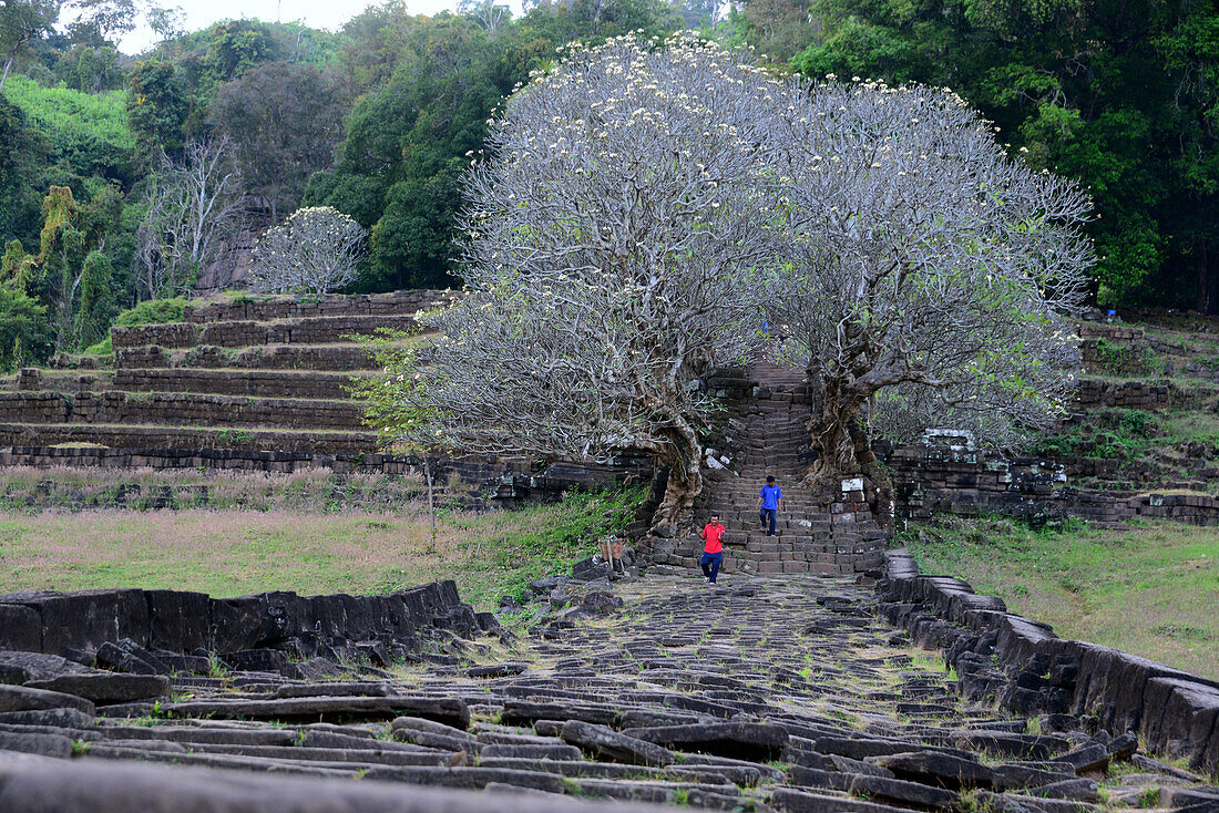 Ausgrabungen Vat Phou bei Champasak bei Pakse, Süd-Laos, Laos, Asien