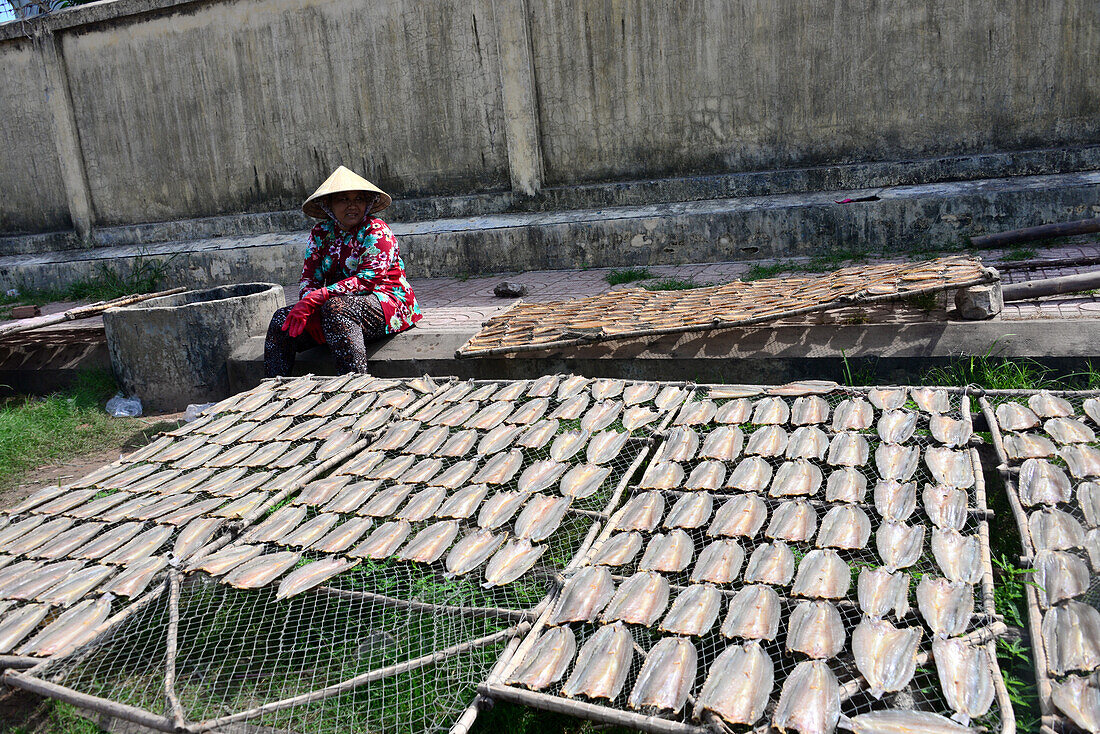 Drying fish at Ang Thoi harbour on the island of Phu Quoc, Vietnam, Asia