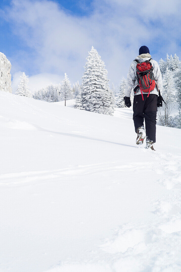 Snowboarder off piste in a winter landscape, Kampenwand, Alps, Bavaria, Germany