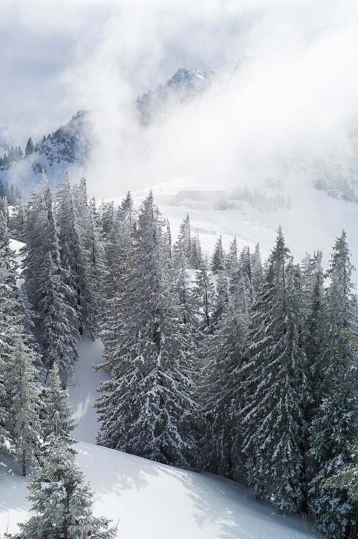 Schneelandschaft in den Bergen, Kampenwand, Alpen, Bayern, Deutschland