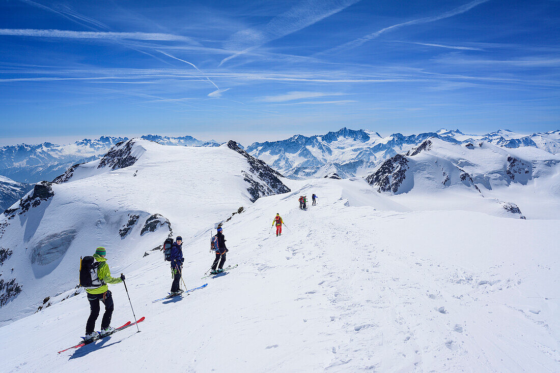 Several persons back-country skiing downhill from Palon de la Mare, Palon de la Mare, Val dei Forni, Ortler range, Lombardy, Italy