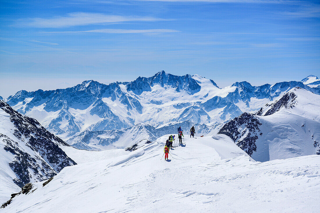 Mehrere Personen auf Skitour fahren vom Gipfel des Palon de la Mare ab, Presanella im Hintergrund, Palon de la Mare, Val dei Forni, Ortlergruppe, Lombardei, Italien