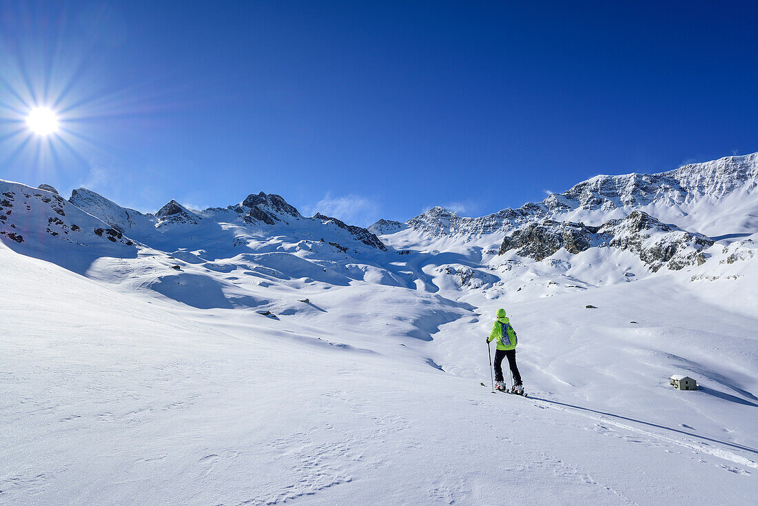 Frau auf Skitour steigt zur Rocca La Marchisa auf, Rocca La Marchisa, Valle Varaita, Cottische Alpen, Piemont, Italien