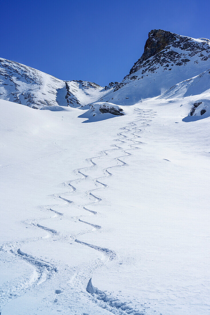 Downhill tracks in front of Rocca La Marchisa, Rocca La Marchisa, Valle Varaita, Cottian Alps, Piedmont, Italy