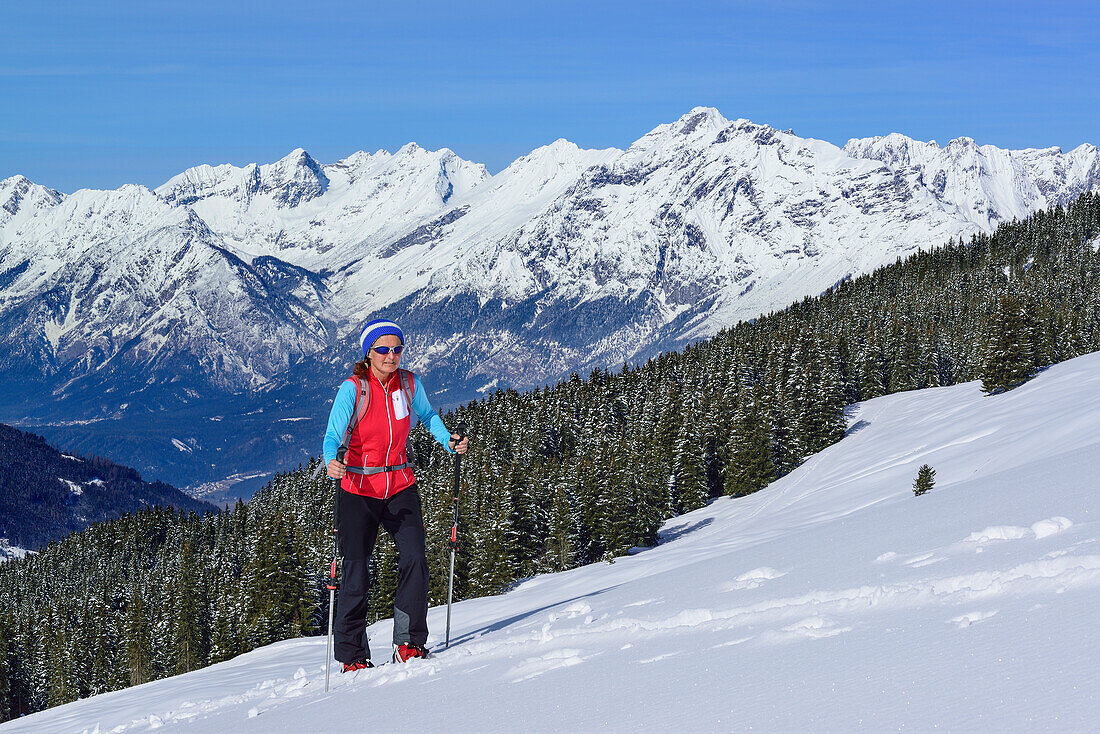 Woman back-country skiing ascending towards Gilfert, Karwendel range and valley of Inn in background, Gilfert, Tux Alps, Tyrol, Austria