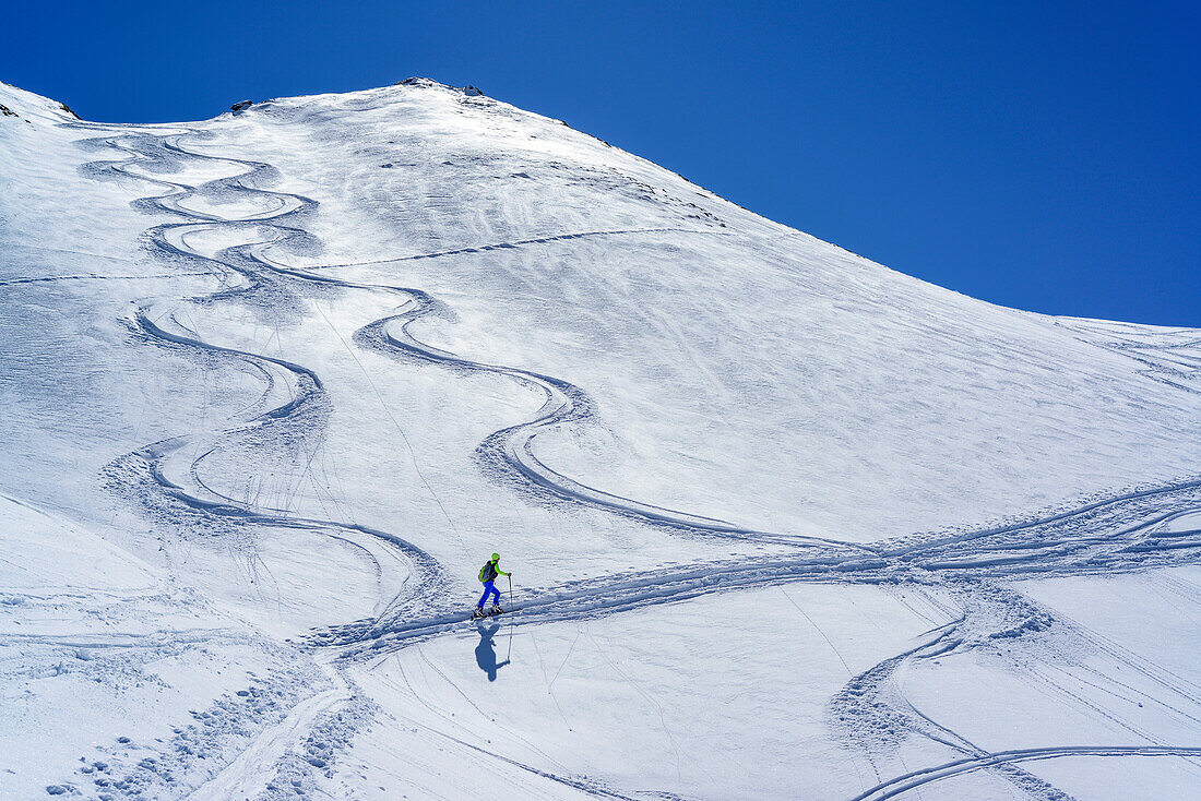 Woman back-country skiing ascending towards Halslspitze, Halslspitze, Tux Alps, Tyrol, Austria