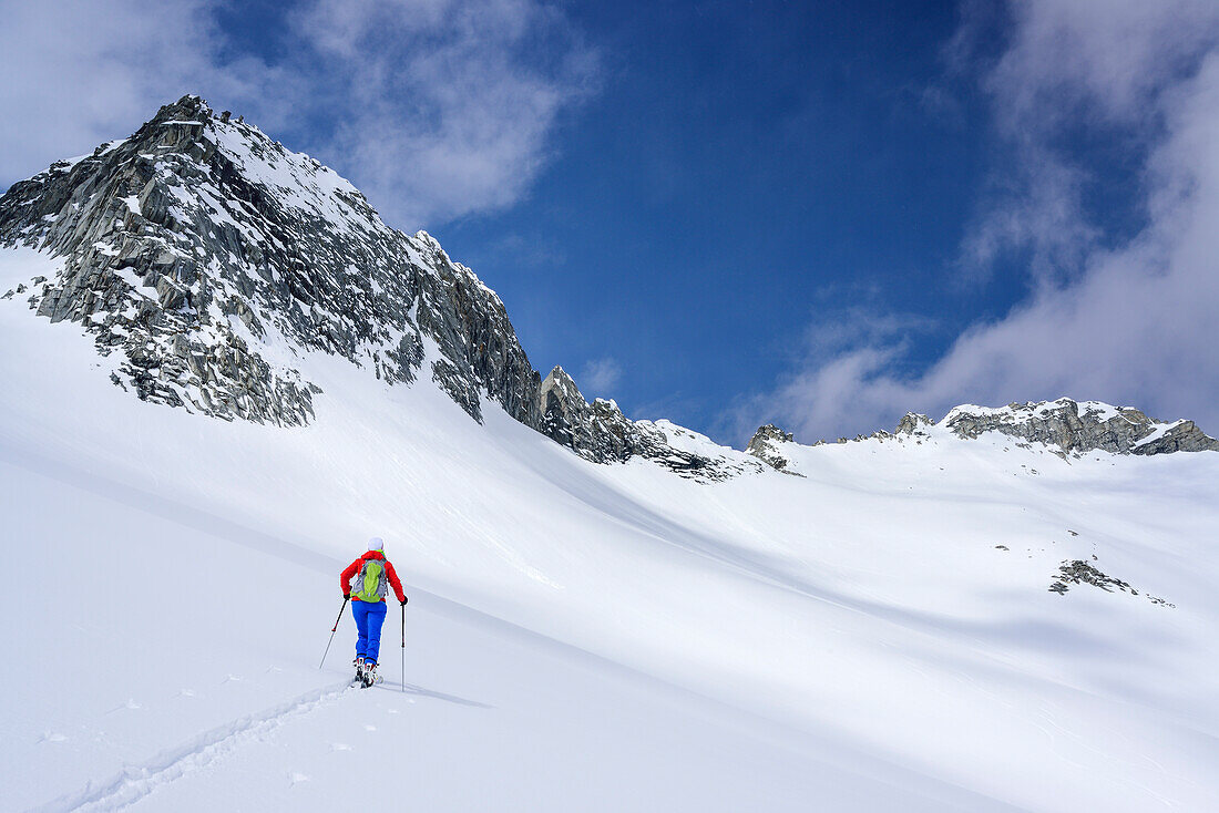 Woman back-country skiing ascending towards Grundschartner, Grundschartner, Zillergrund, Zillertal Alps, Tyrol, Austria