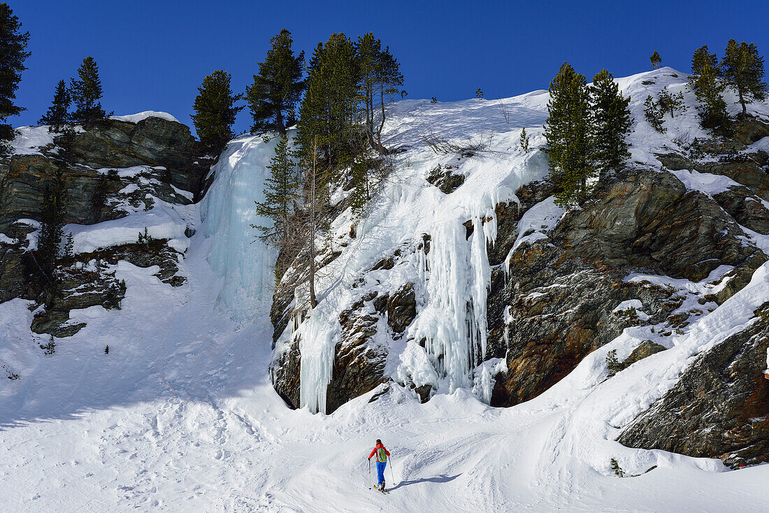 Frau auf Skitour steigt an Wasserfall vorbei, Monte Cevedale, Martelltal, Ortlergruppe, Südtirol, Italien