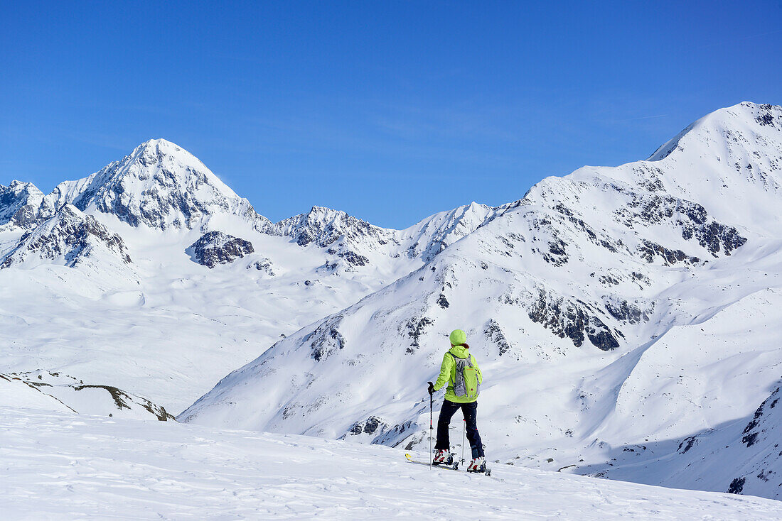Woman back-country skiing ascending towards Pizzo Tresero, Koenigsspitze in background, Pizzo Tresero, Val dei Forni, Ortler range, Lombardy, Italy