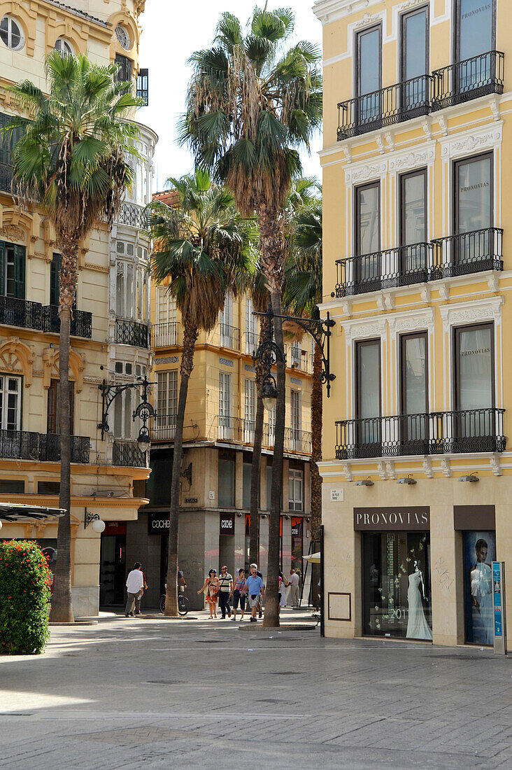 Street with palm trees in the pedestrians area in Malaga, Andalusia, Spain