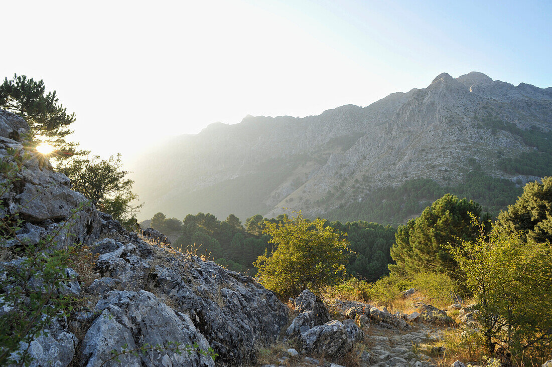 Sonnenuntergang im Grazalema Naturpark, Sierra de Grazalema, Andalusien, Spanien