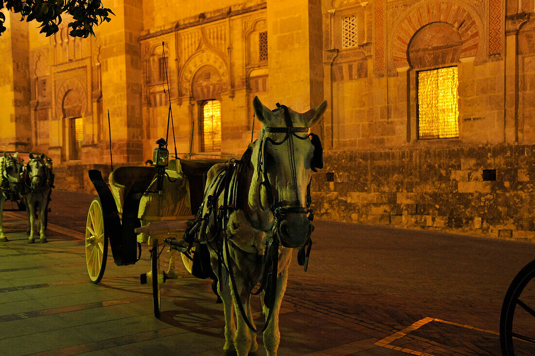 Horse carriage outside the Mezquita in the evening, Cordoba, Andalusia, Spain