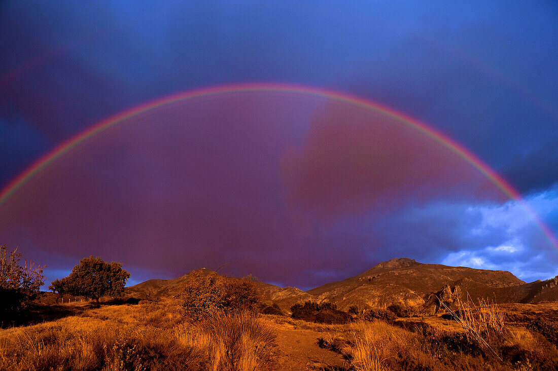 Regenbogen und gelbe Gräser, Gewitterstimmung bei Monachil am Fuss der Sierra Nevada, Andalusien, Spanien, Europa