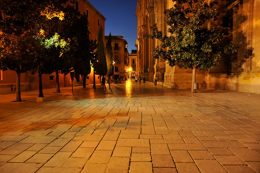 Platz an der Kathedrale im abendlicht, Granada, Andalusien, Spanien