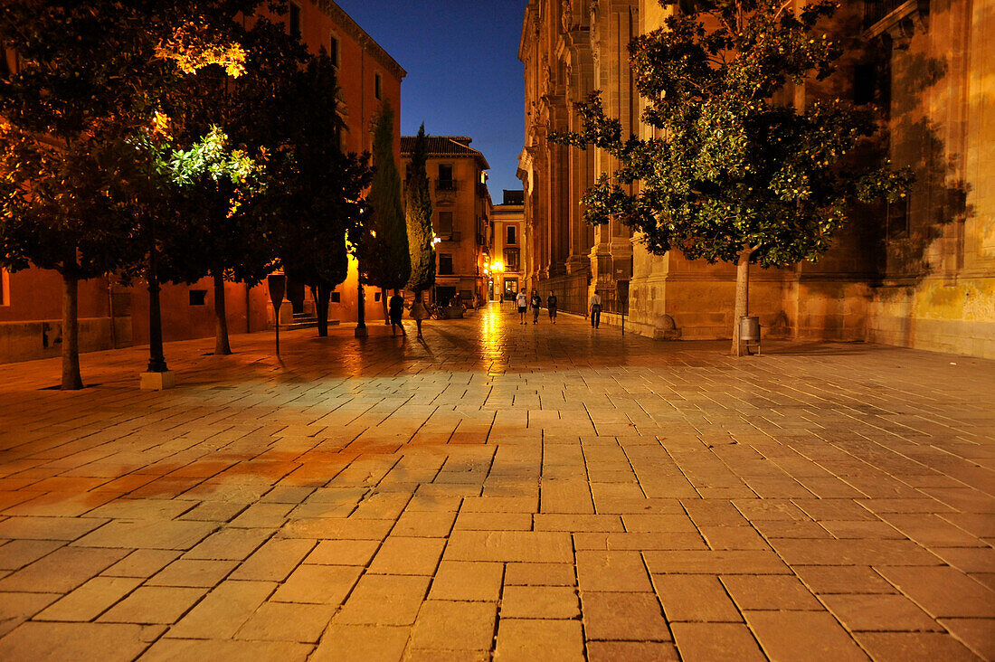 Plaza at the Cathedral at night, Granada, Andalusia, Spain