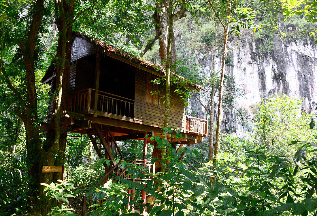 Tree house in Khao Sok National Park, Surat Thani, South Thailand, Asien