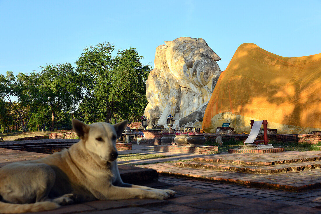 Wat Lokayasutha, buddhistische Tempelanlage, alte Königsstadt Ayutthaya, Thailand