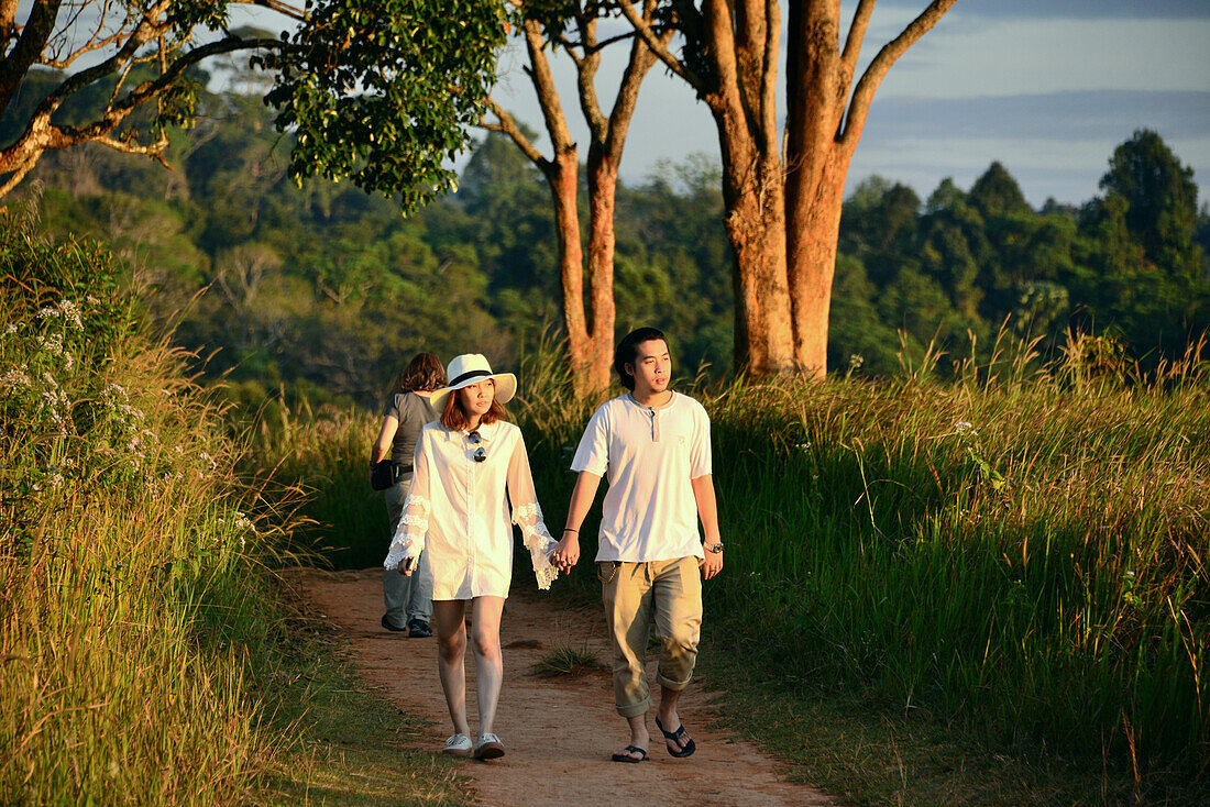 Naturpfad im Khao Yai National Park, Mittel-Thailand, Thailand