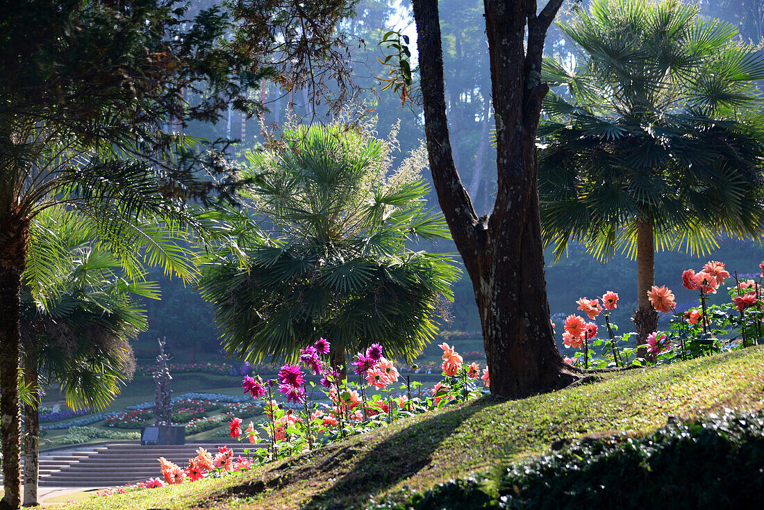 Doi Tung mit Mae Fah Luang-Palastgarten bei Mae Sai, Nord-Thailand, Thailand