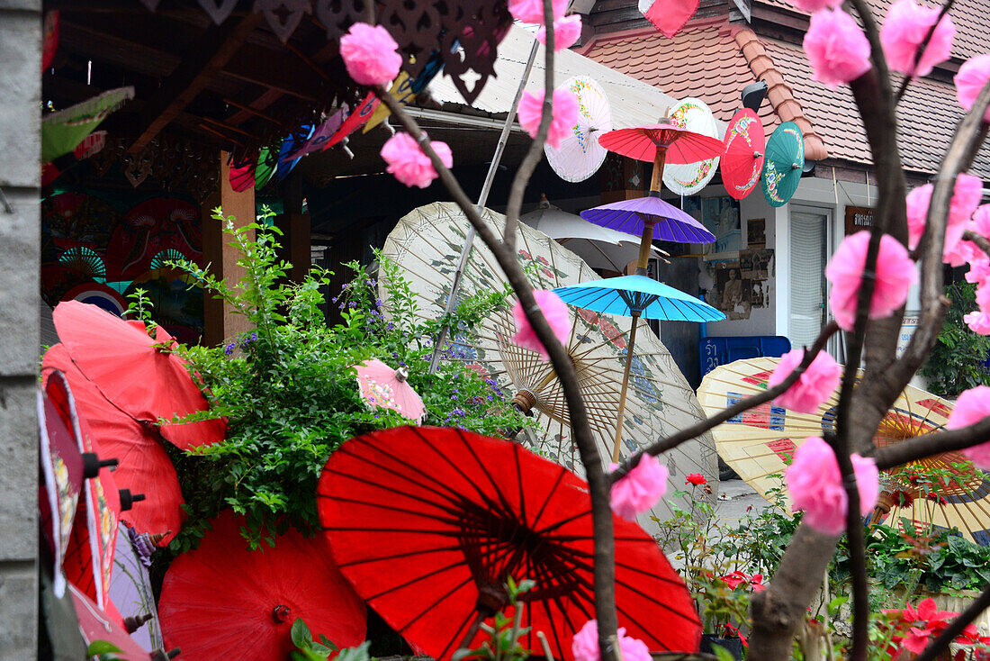Schirme in Bo Sang bei Chiang Mai, Nord-Thailand, Thailand
