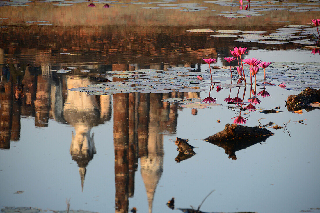 Reflection in a pond at Wat Mahathat, Old-Sukhothai, Thailand