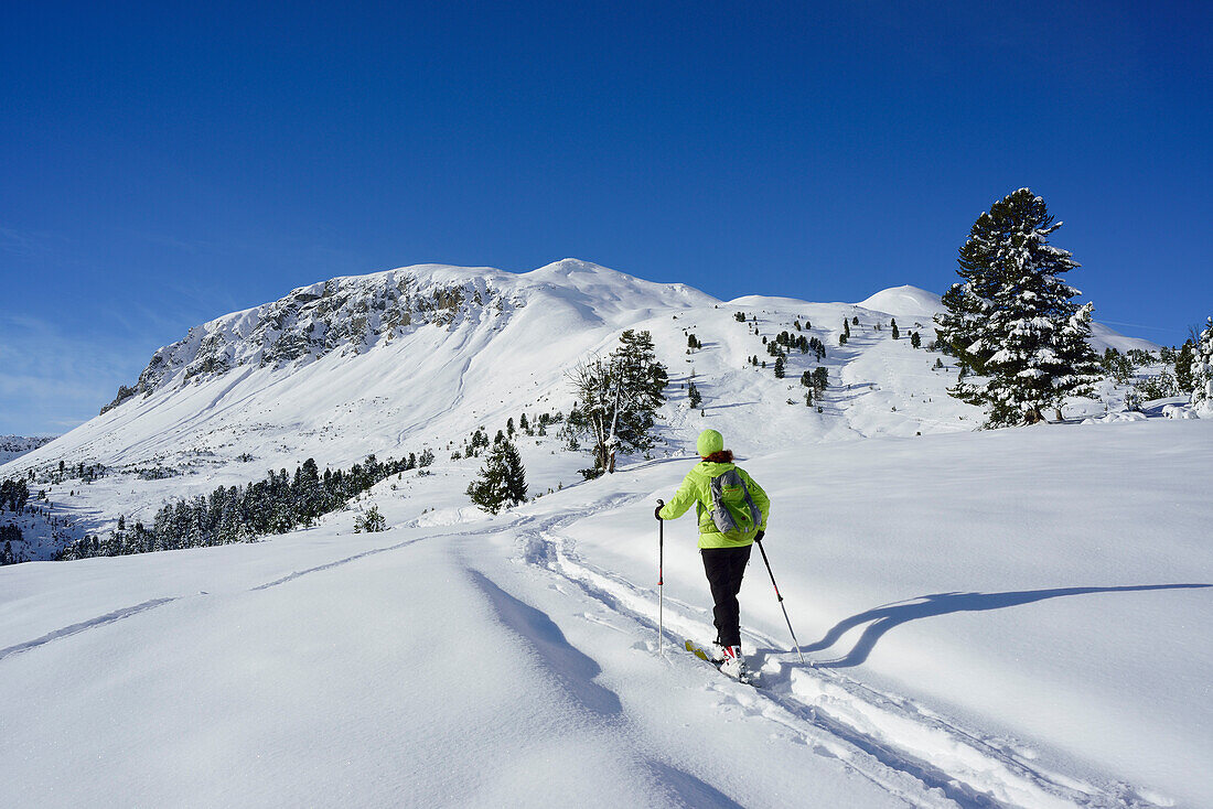 Frau auf Skitour steigt zum Munt Buffalora auf, Munt Buffalora, Ofenpass, Sesvennagruppe, Engadin, Graubünden, Schweiz