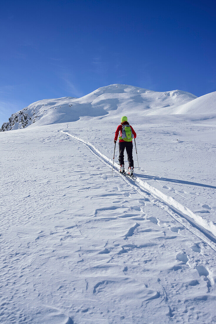 Woman back-country skiing ascending towards Munt Buffalora, Munt Buffalora, Ofenpass, Sesvenna range, Engadin, Grisons, Switzerland