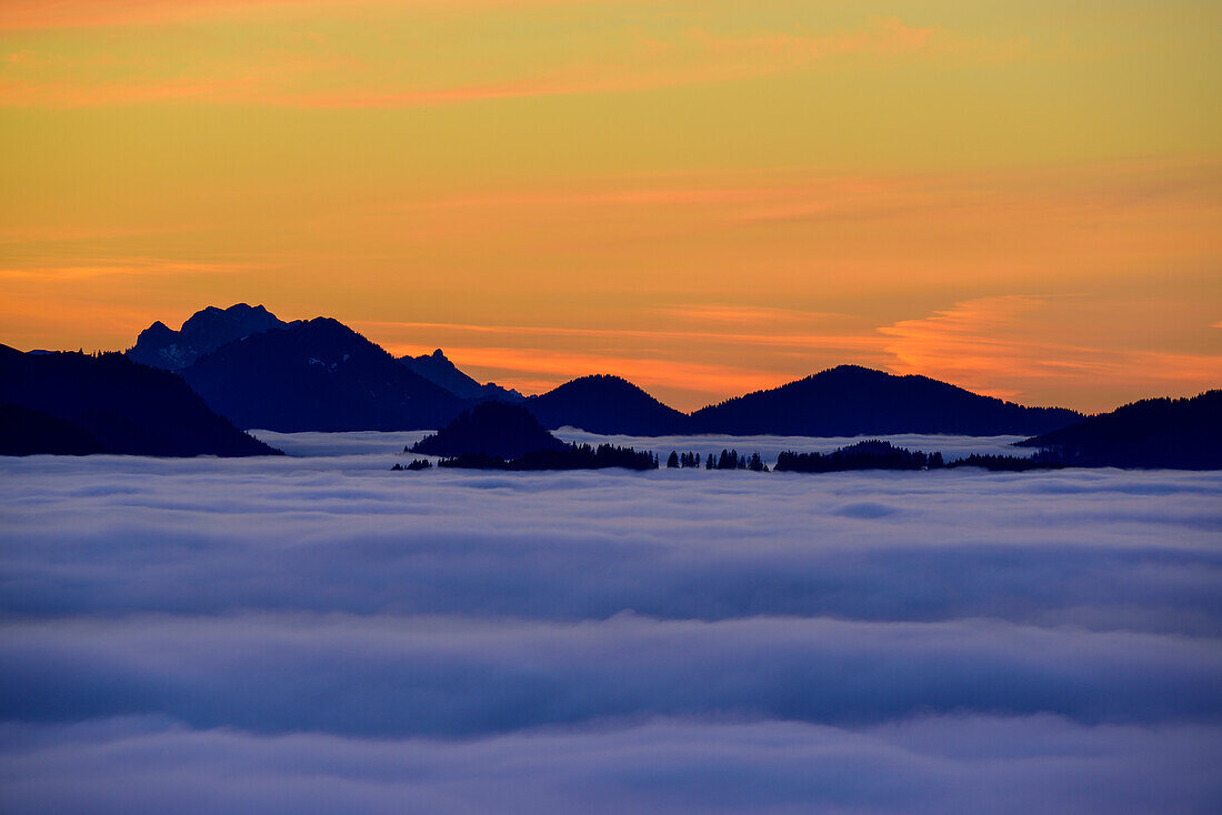 Bayerische Alpen mit Benediktenwand über Nebelstimmung, vom Farrenpoint, Mangfallgebirge, Bayerische Alpen, Oberbayern, Bayern, Deutschland
