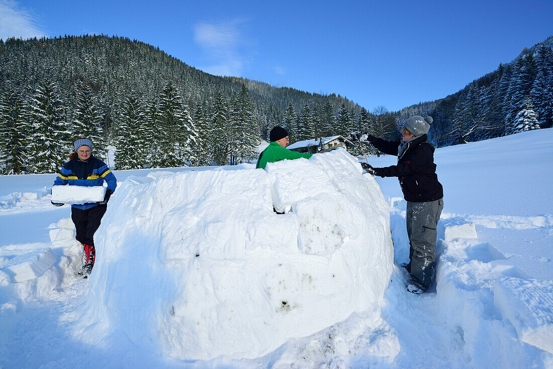 Three persons building igloo, Chiemgau range, Chiemgau, Upper Bavaria, Bavaria, Germany