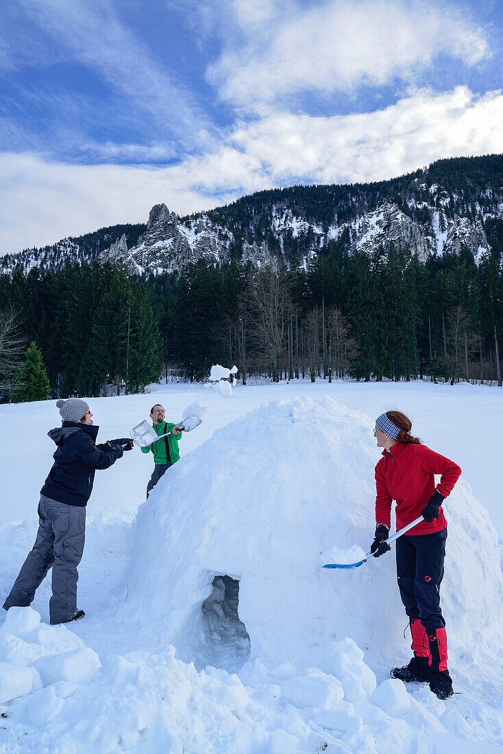 Drei Personen bauen Iglu, Chiemgauer Alpen, Chiemgau, Oberbayern, Bayern, Deutschland