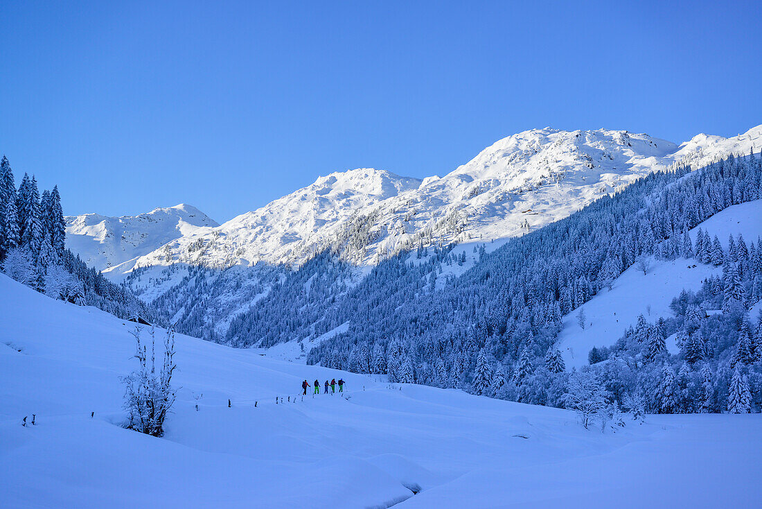 Group of persons back-country skiing ascending towards Pallspitze, Pallspitze, Langer Grund, Kitzbuehel range, Tyrol, Austria
