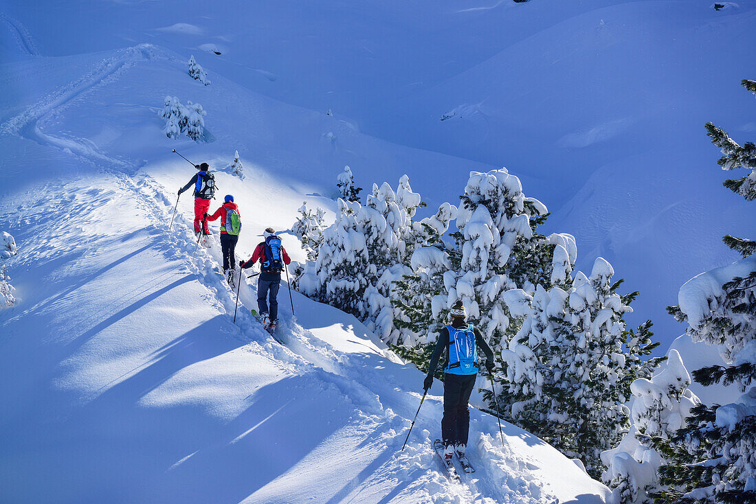 Group of persons back-country skiing ascending towards Pallspitze, Pallspitze, Langer Grund, Kitzbuehel range, Tyrol, Austria