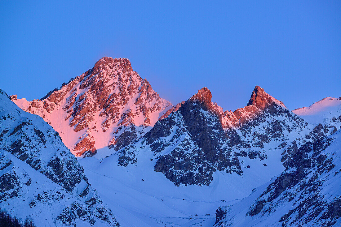 Alpenglühen an Tete de l´Homme, Punta Dumontel und Punta Sigismondi, Valle Maira, Cottische Alpen, Piemont, Italien