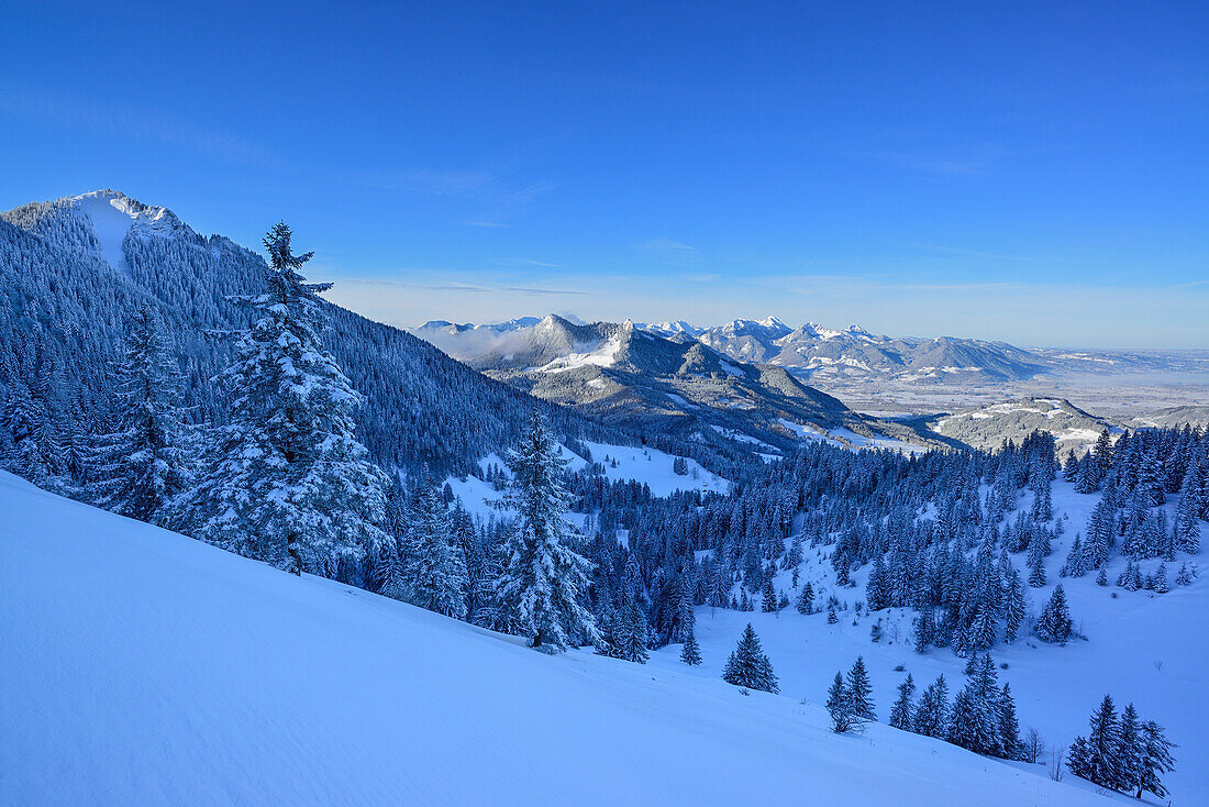 Winterlandschaft mit Feichteck, Heuberg und Mangfallgebirge, Hochries, Samerberg, Chiemgauer Alpen, Chiemgau, Oberbayern, Bayern, Deutschland