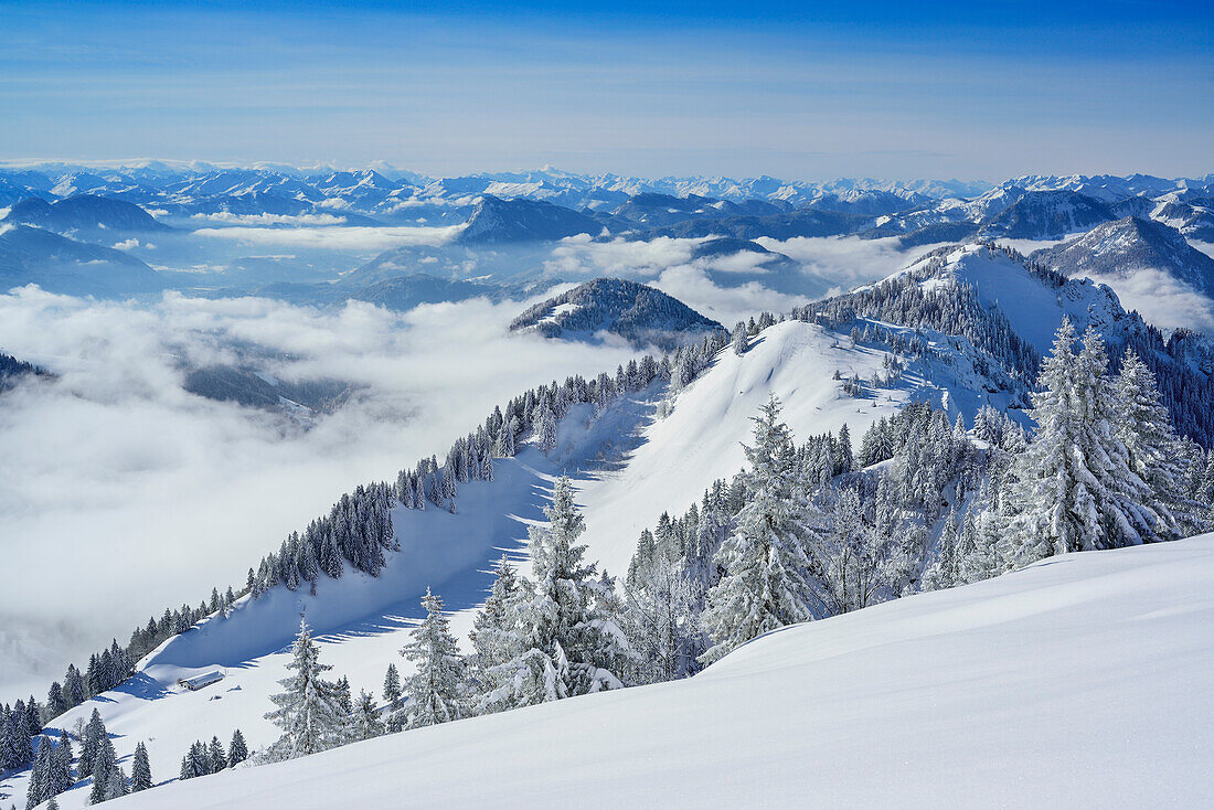 Blick auf Nebelstimmung im Inntal, Chiemgauer Alpen und Mangfallgebirge im Hintergrund, Hochries, Samerberg, Chiemgauer Alpen, Chiemgau, Oberbayern, Bayern, Deutschland