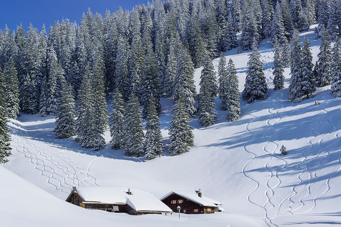 Snow-covered alpine huts with skitracks, Predigtstuhl, Samerberg, Chiemgau range, Chiemgau, Upper Bavaria, Bavaria, Germany