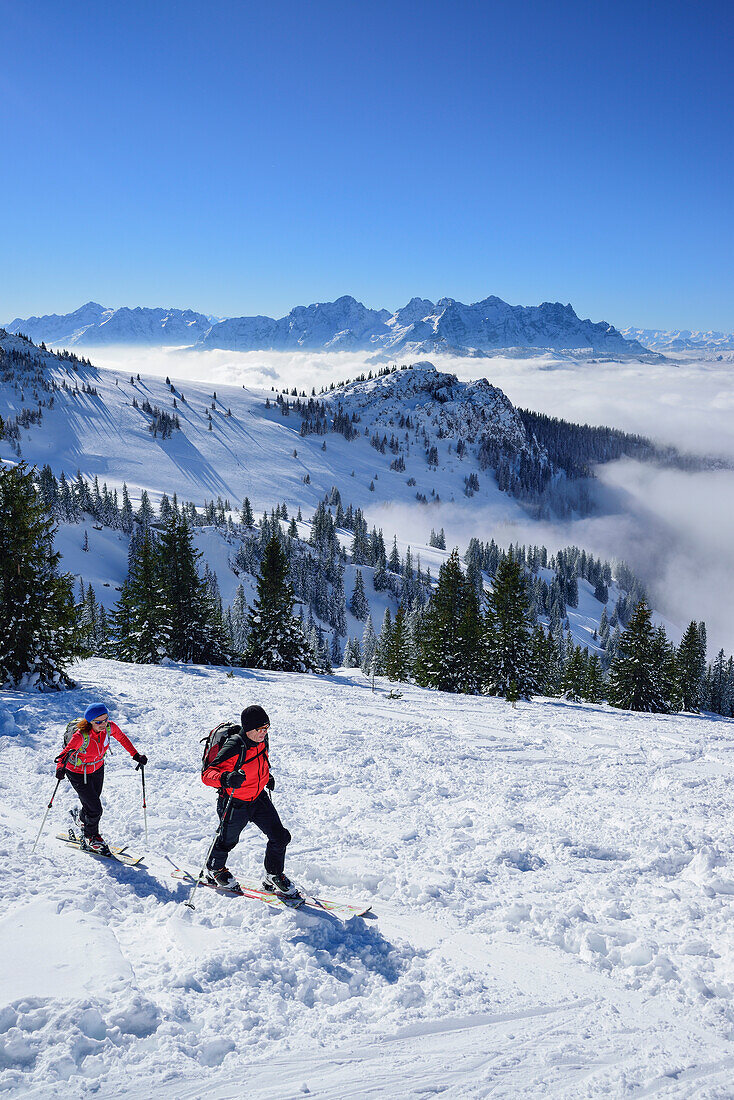 Two persons back-country skiing ascending towards Sonntagshorn, Berchtesgaden range in background, Sonntagshorn, Chiemgau range, Salzburg, Austria