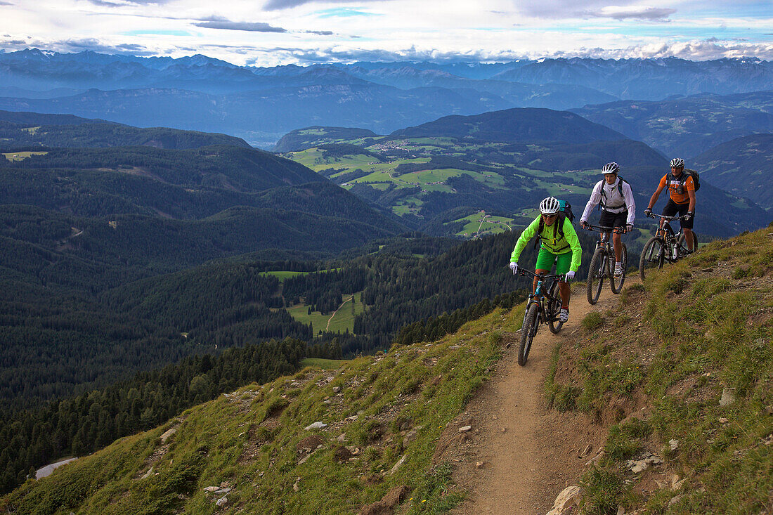 three mountain bikers on a single-trail at Latemar, Trentino Italy