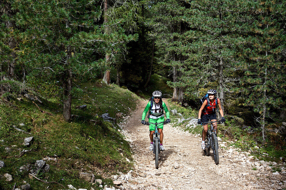 two mountain bikers on a forest trail, Trentino, Italy