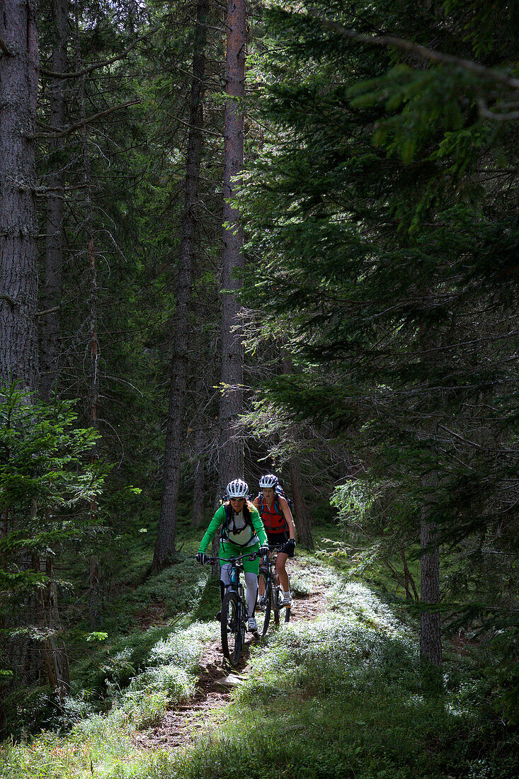 zwei Mountainbikerinnen auf einem Singletrail im Wald, Trentino, Italien