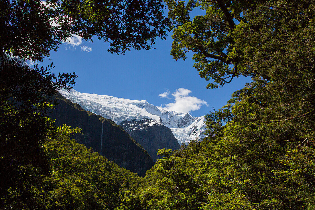 Rob Roy Glacier, view of the Rob Roy Glacier Trek, Mount Aspiring National Park, South Island, New Zealand