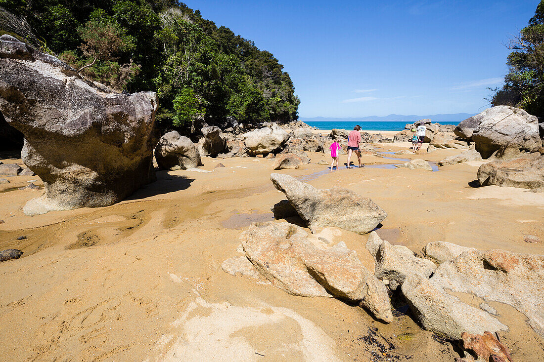 Low tide on Adele Island, Abel Tasman National Park, South Island, New Zealand