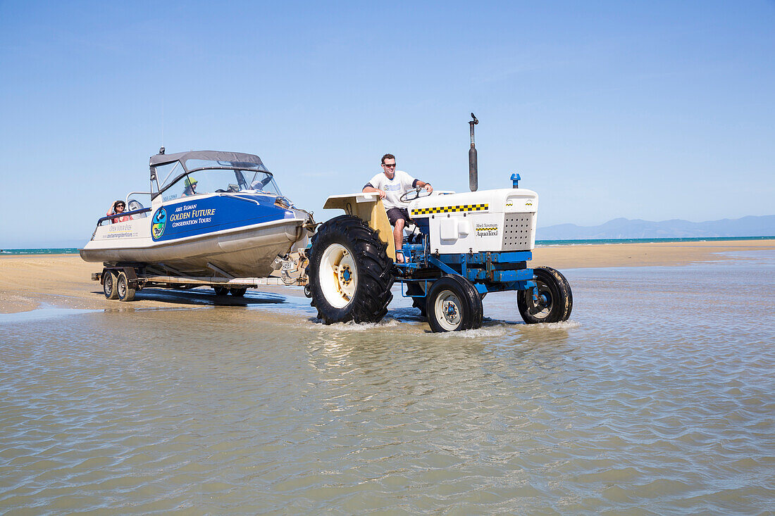Taxiboat are tugged at low tide out of the sea by tractors, Abel Tasman National Park, South Island, New Zealand