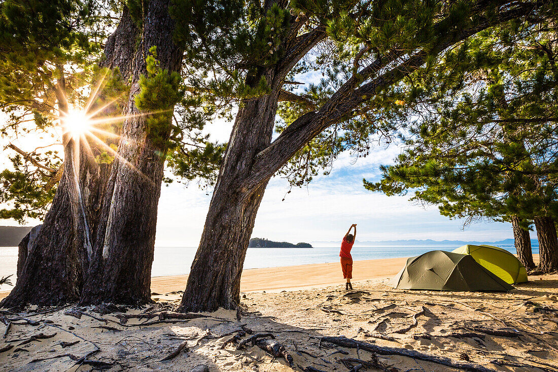Eine Frau macht Yoga am morgen im Zeltlager am Strand der Apple Tree Bay, Abel Tasman Nationalpark. Südinsel, Neuseeland