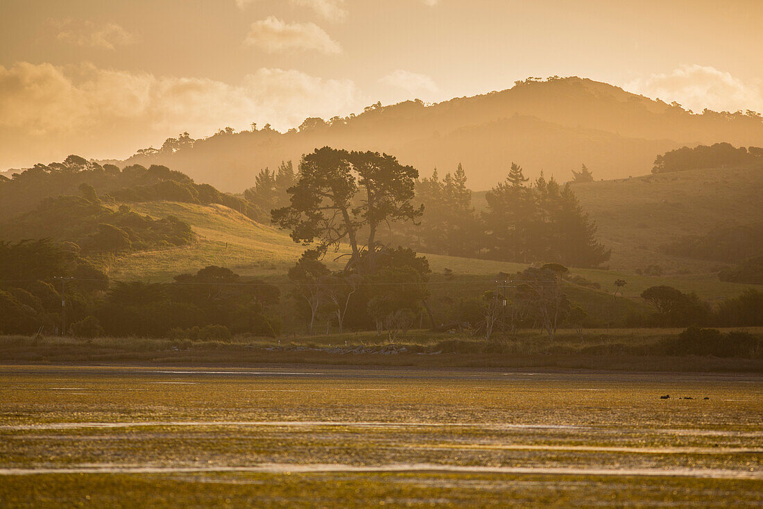 Später Nachmittag und Ebbe bei Puponga, Farewell Spit, Golden Bay, Südinsel, Neuseeland